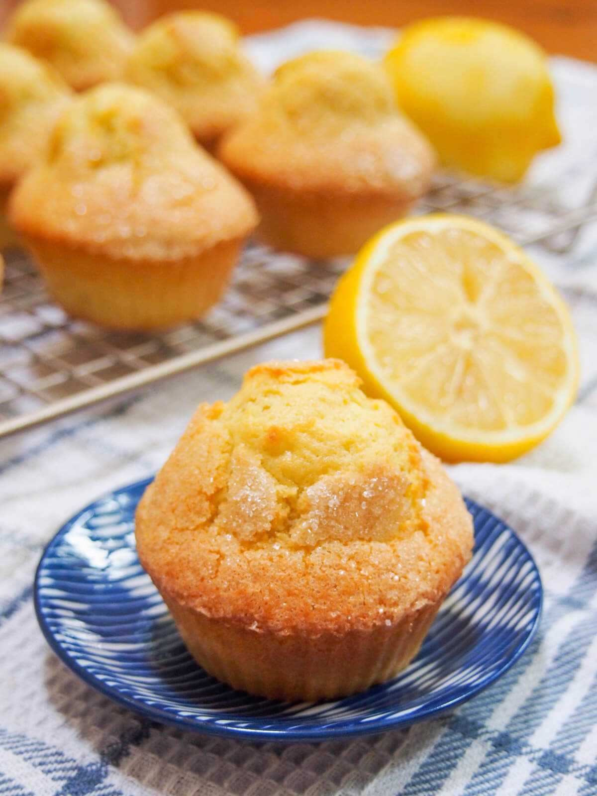 magdalena on plate with more Spanish muffins behind