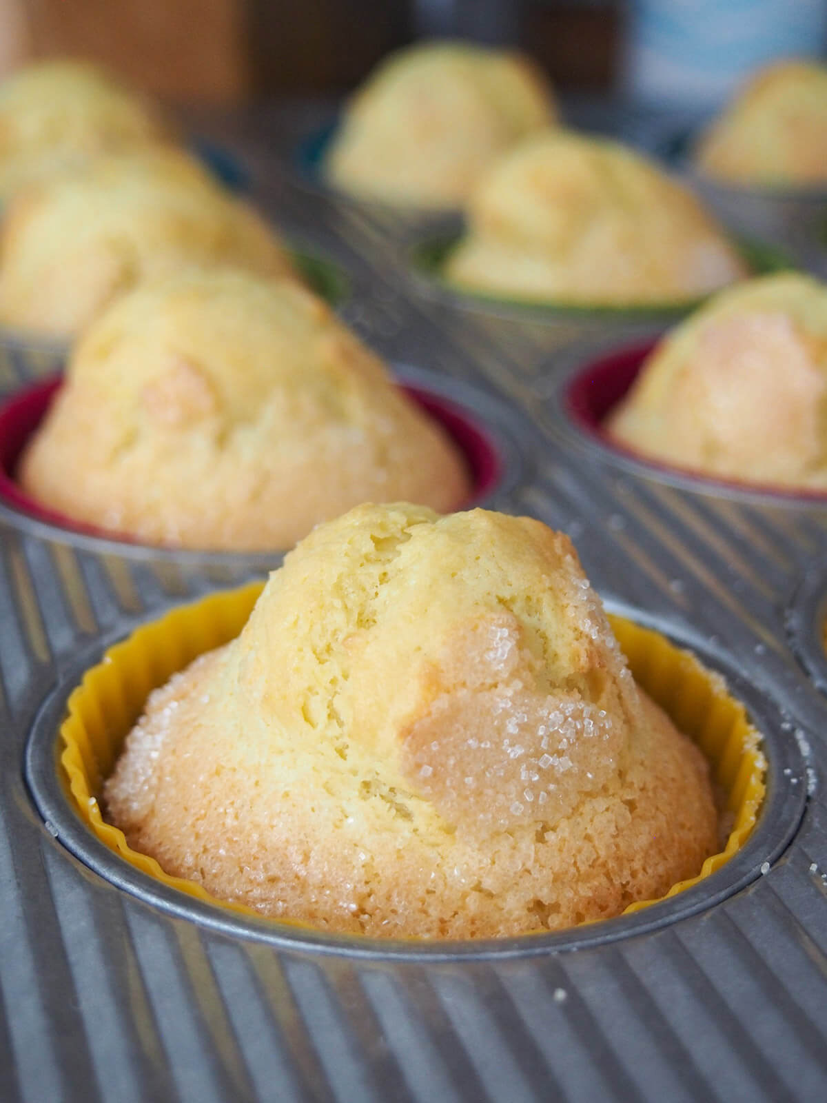 magdalenas in muffin pan out oven
