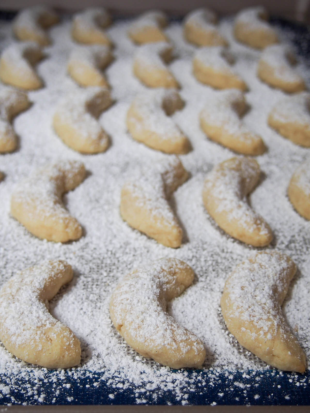 Vanillekipferl (vanilla crescent cookies) are a classic Austrian/German cookie with a delicate vanilla flavor. They melt in your mouth and are a perfect addition to a seasonal cookie plate. sugar dusted cookies on baking sheet
