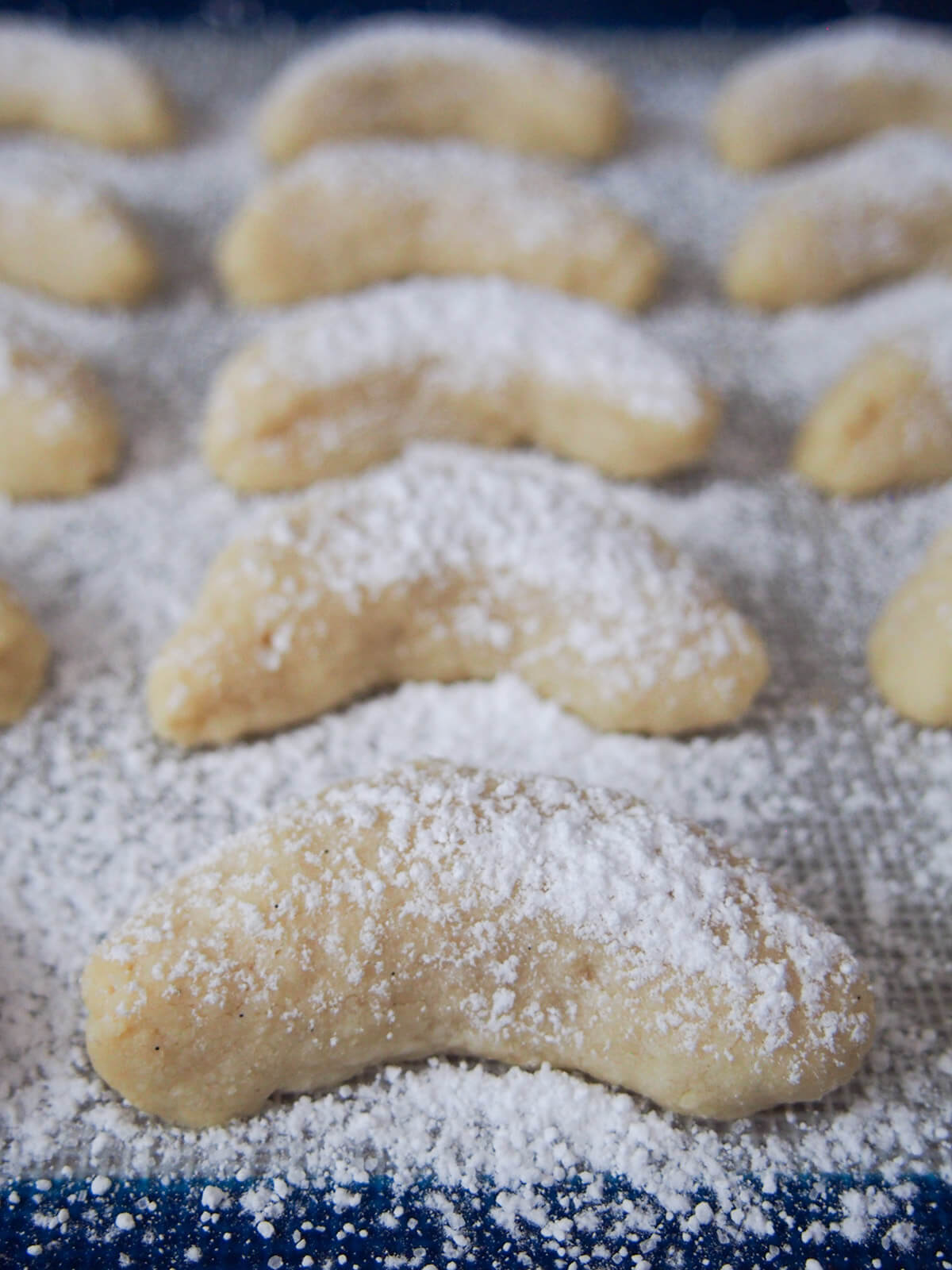 rows of sugar dusted vanilla crescent cookies from side