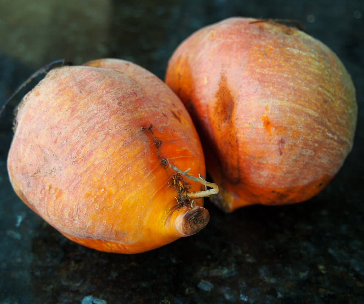 two whole golden beets