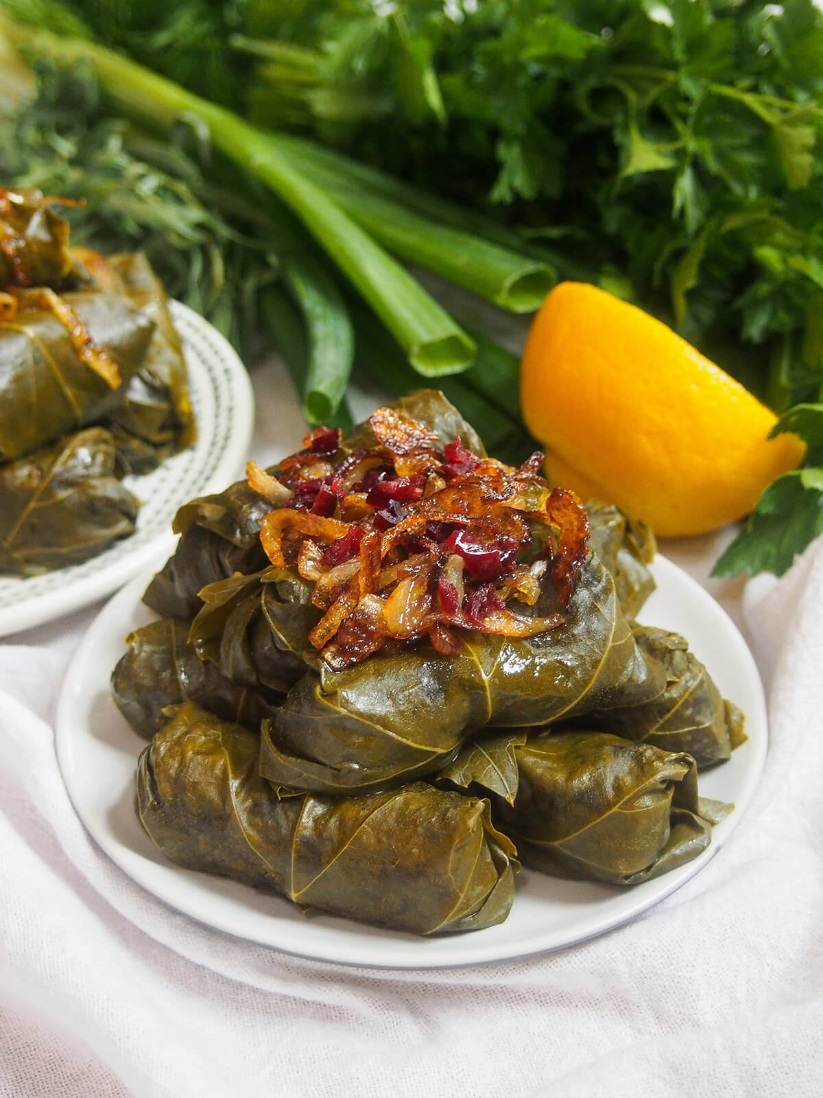 plate of dolmeh barge mo Persian stuffed grape leaves topped with onions and herbs behind plate