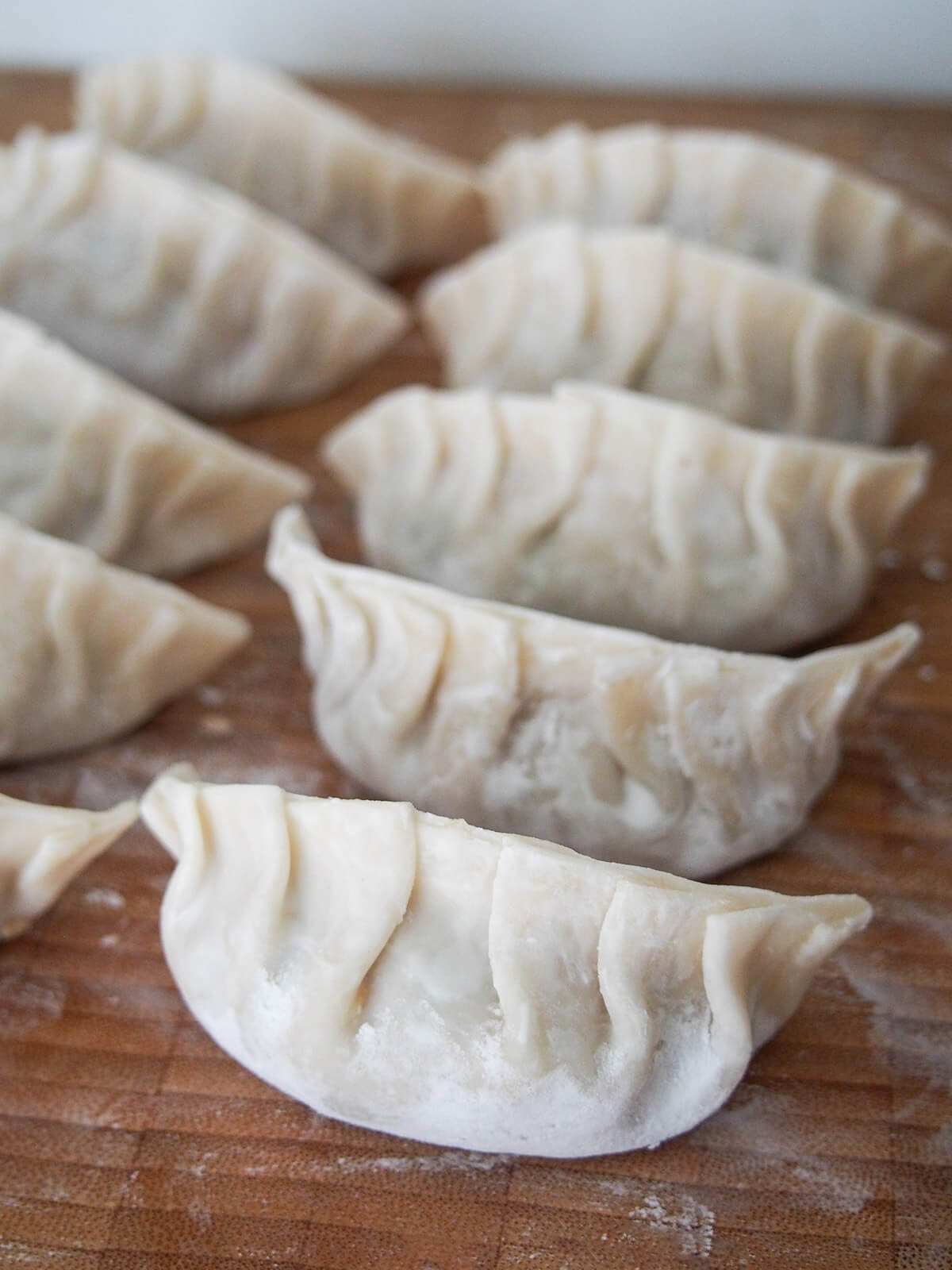 folded Chinese pork and cabbage dumplings rows of folded pork and cabbage dumplings