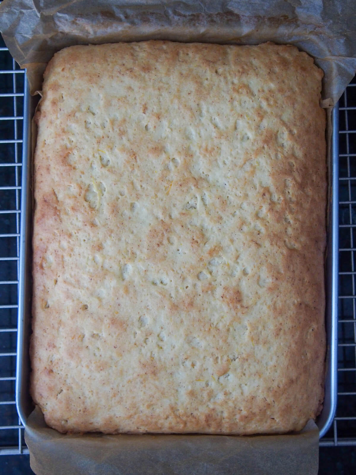 Florentine orange cake schiacciata out oven