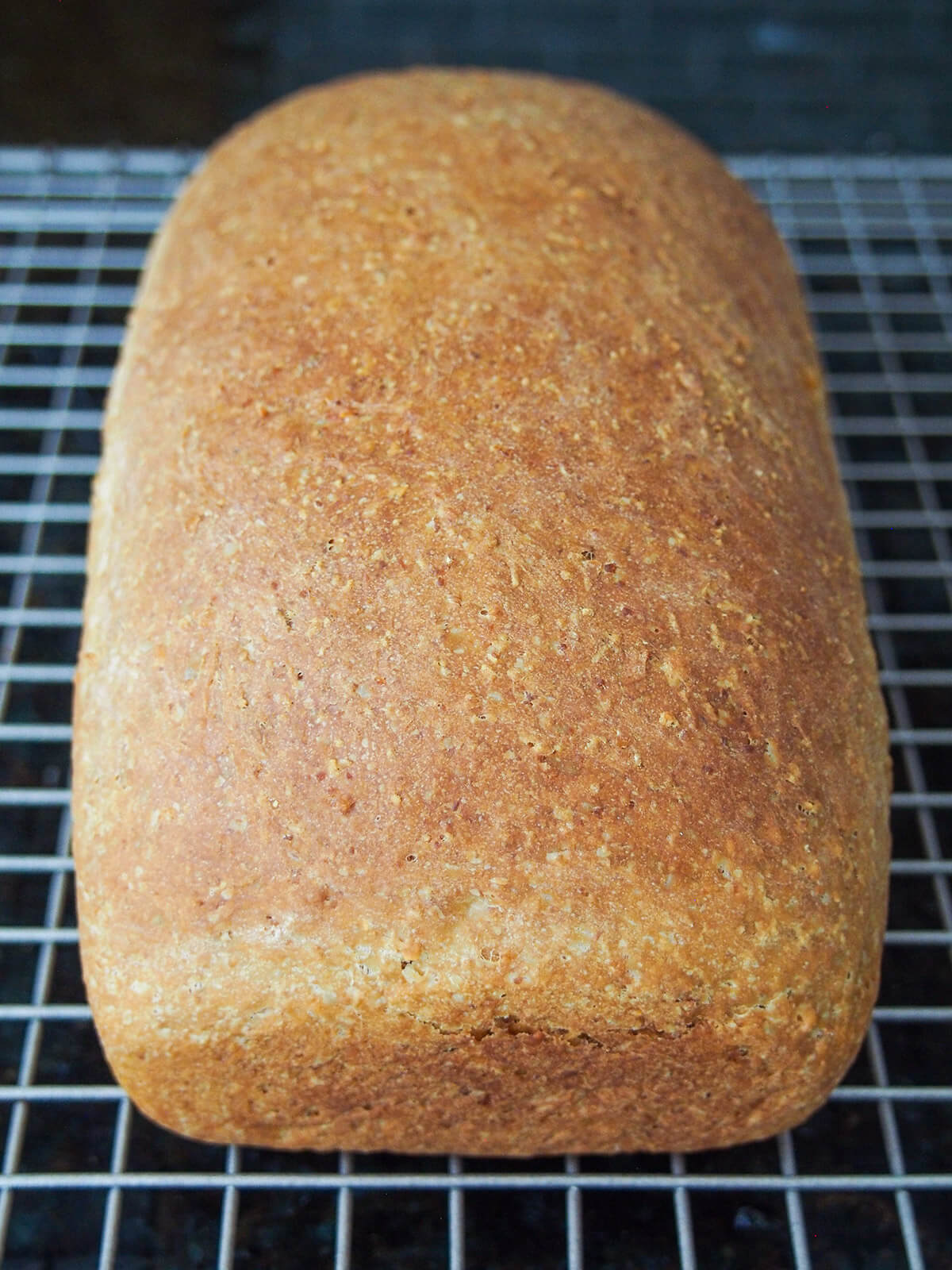 whole loaf of anadama bread on cooling rack