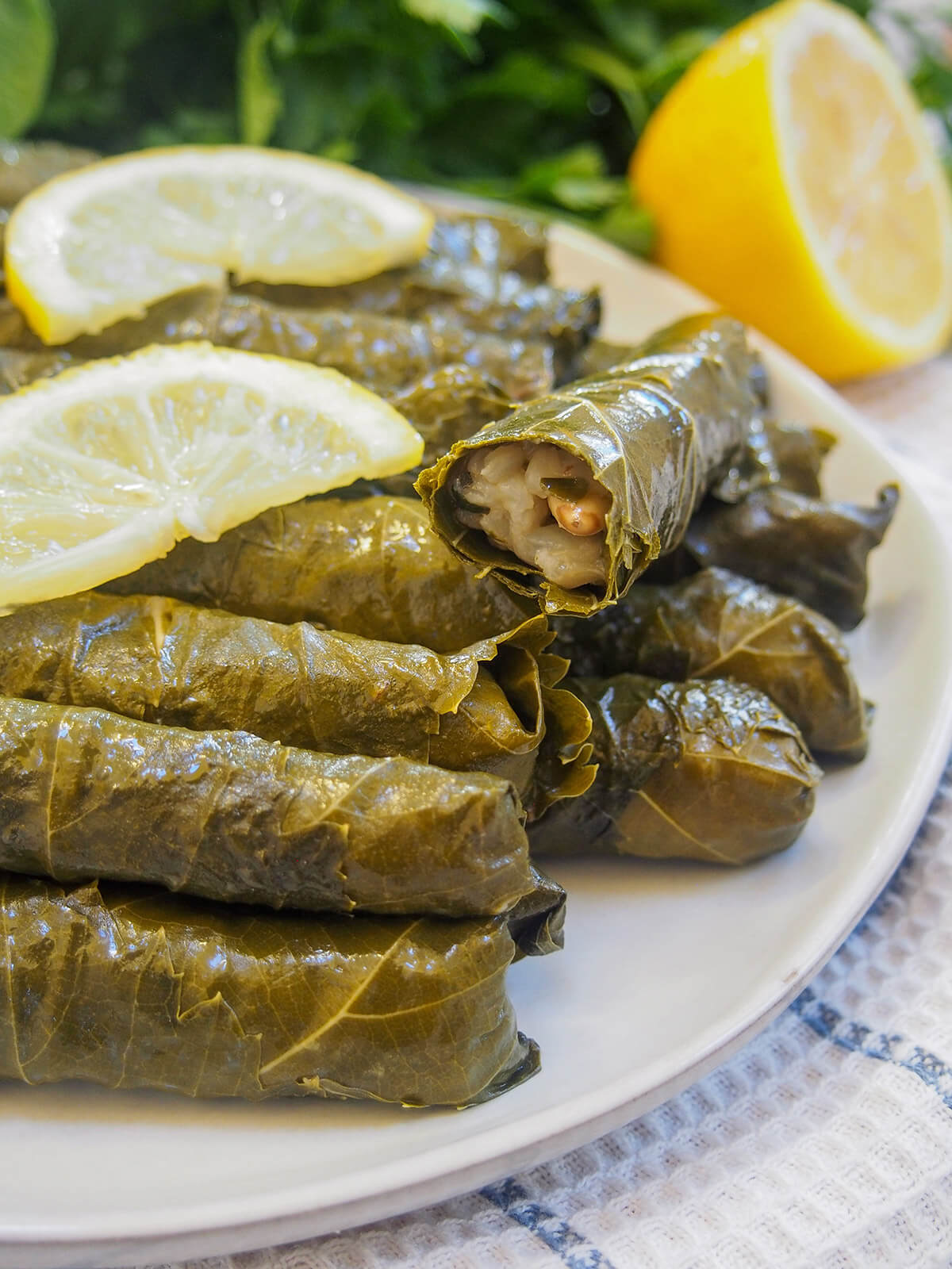 bitten into stuffed grape leaf sitting on top of plate of more