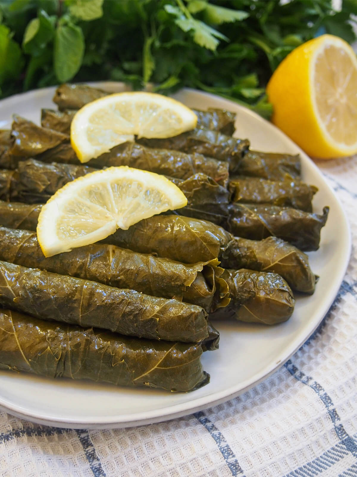 plate of Turkish stuffed grape leaves, yalanci dolma, with lemon slices on top