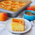 slice of apricot cake marillenkuchen on plate in front of tin