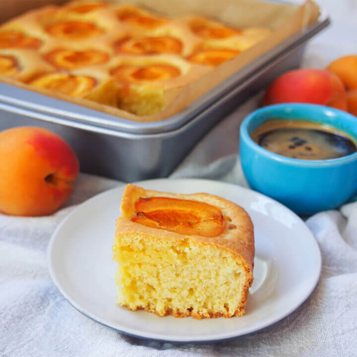 slice of apricot cake marillenkuchen on plate in front of tin