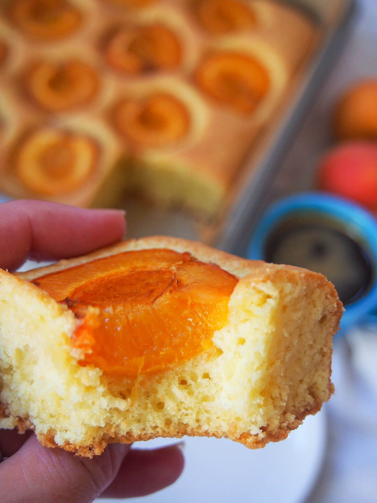 Austrian apricot cake is a wonderful combination of a simple cake base, with a touch of lemon, with large pieces of tender apricots nestled on top. It's a popular choice during the fruit's season alongside coffee, and makes a delicious anytime treat. holding a bitten slice of apricot cake marillenkuchen