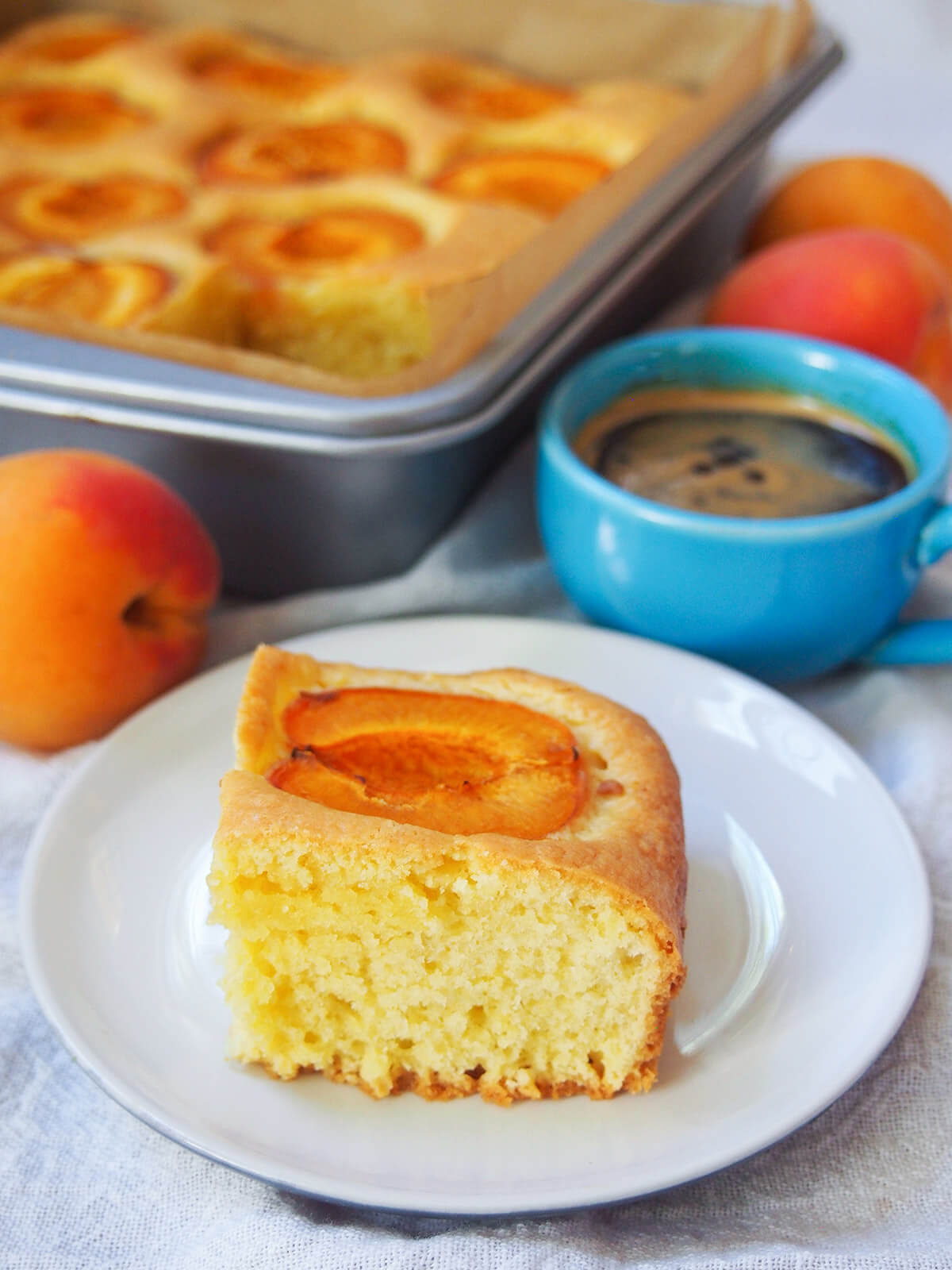 Austrian apricot cake is a wonderful combination of a simple cake base, with a touch of lemon, with large pieces of tender apricots nestled on top. It's a popular choice during the fruit's season alongside coffee, and makes a delicious anytime treat. slice of apricot cake on plate with cup of coffee behind and apricots to side of tin with rest