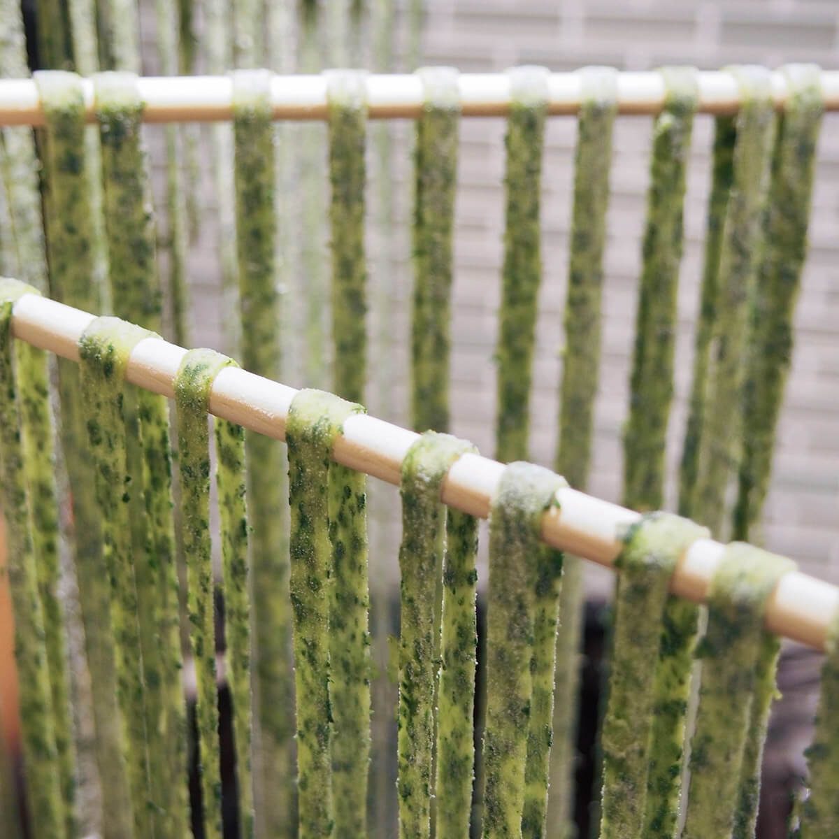 drying fresh spinach pasta on rack