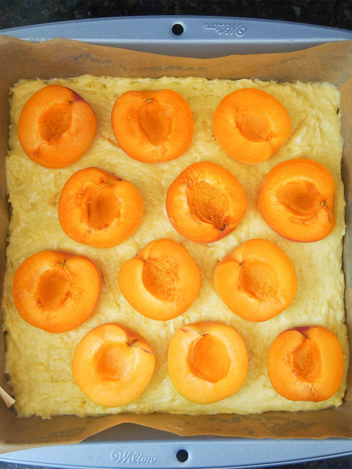 Austrian apricot cake before baking halved apricots sitting on top of cake batter in baking tin