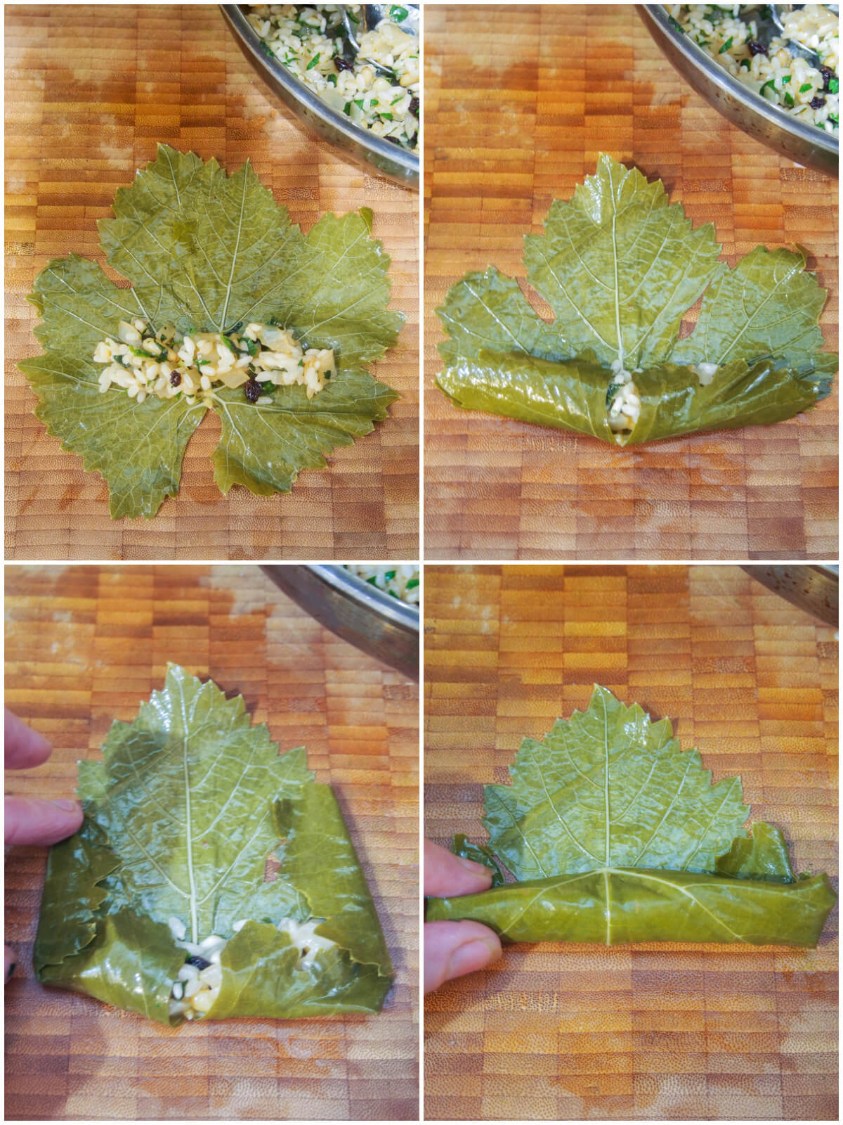 stages fillingTurkish stuffed grape leaves - filling on leaf, folding in bottom, sides then rolling