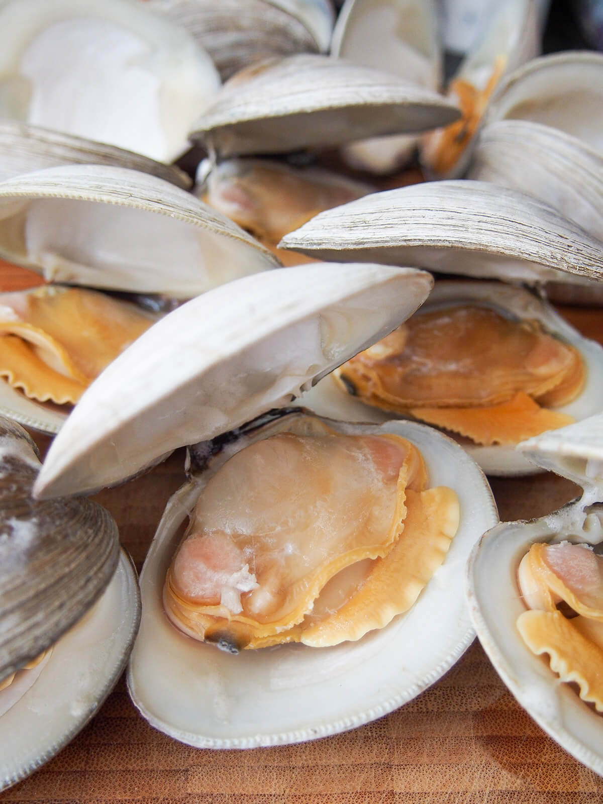 opened up steamed clams in their shells