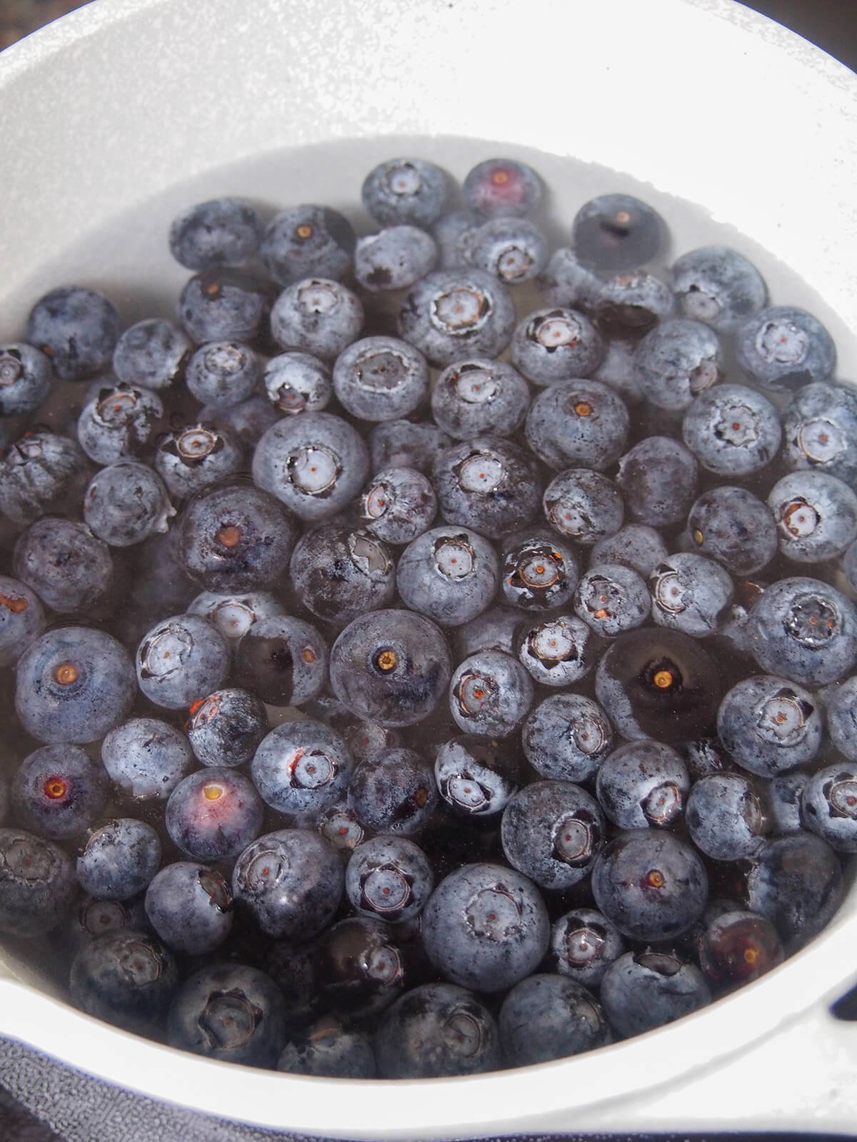 blueberries in a pot under water