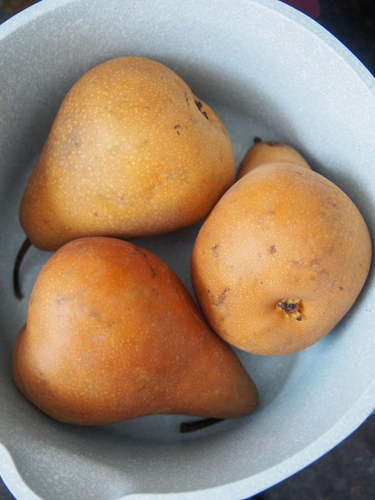 three pears in a pot with tops pointed to side