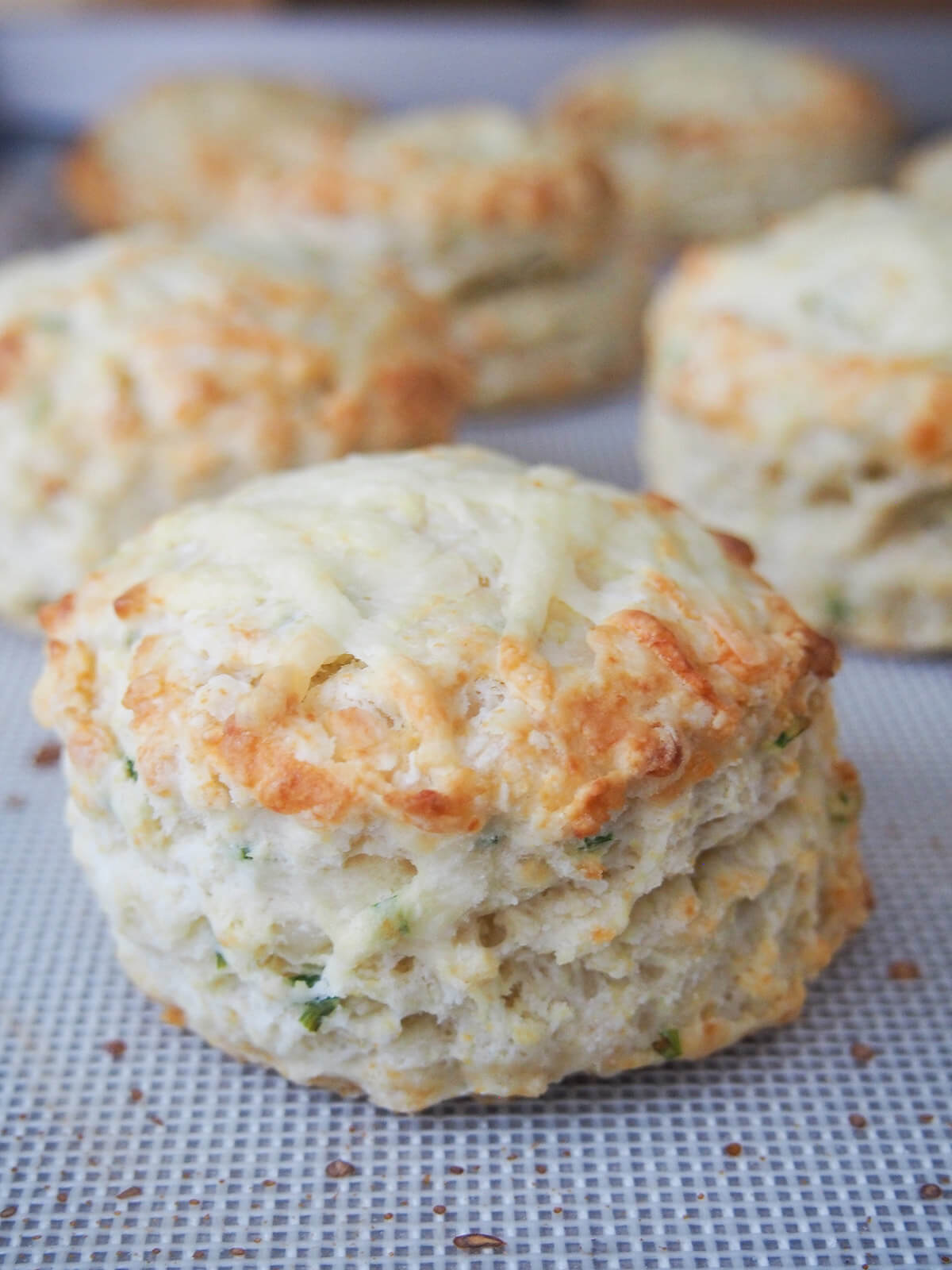 cheese scones just out of the oven cheese scones just out oven on baking sheet