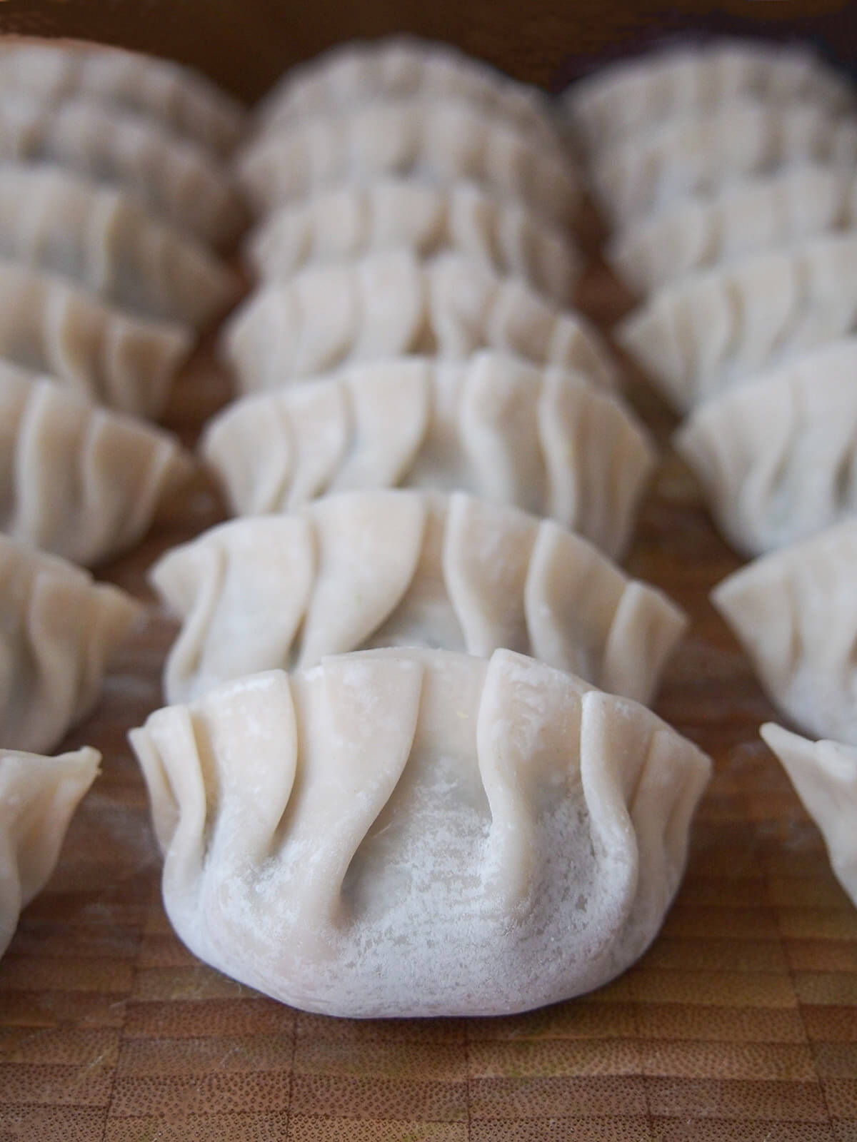 formed pork and chive dumplings before cooking rows of formed dumplings on board