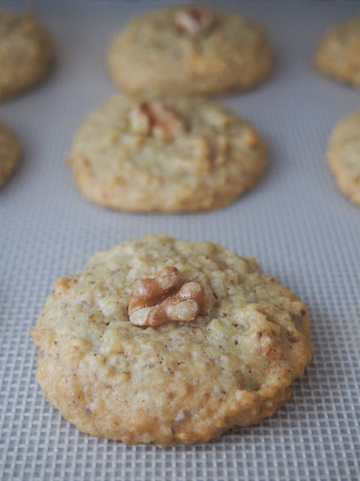 Persian walnut cookies just out the oven Persian walnut cookies on baking sheet just out oven