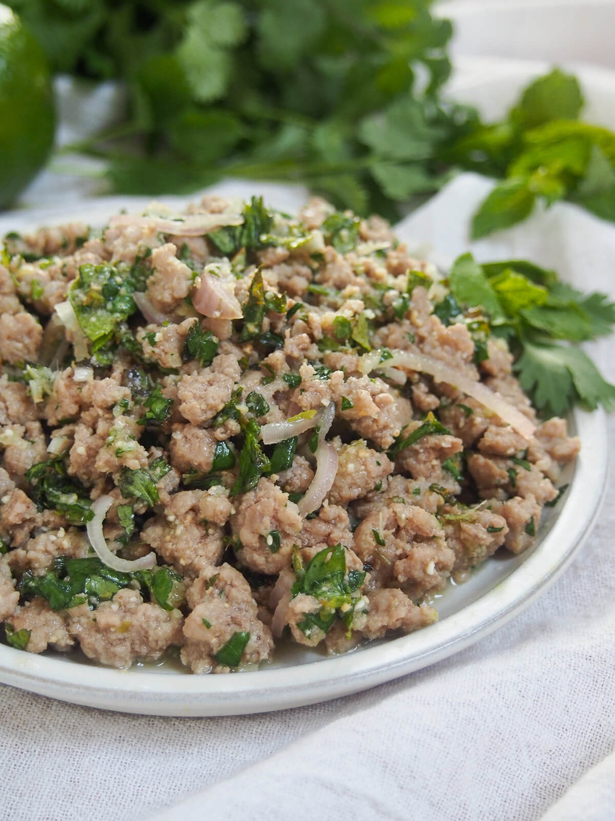 side view of plate of pork larb