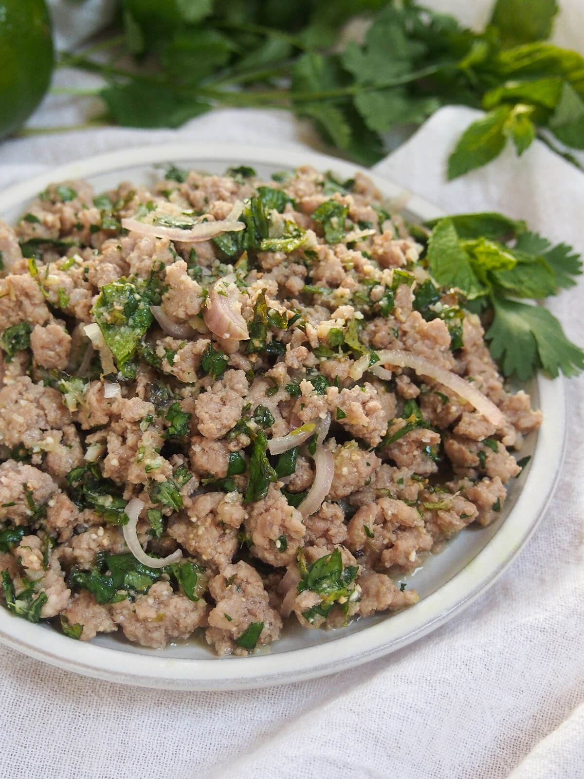 side overhead view of pork larb