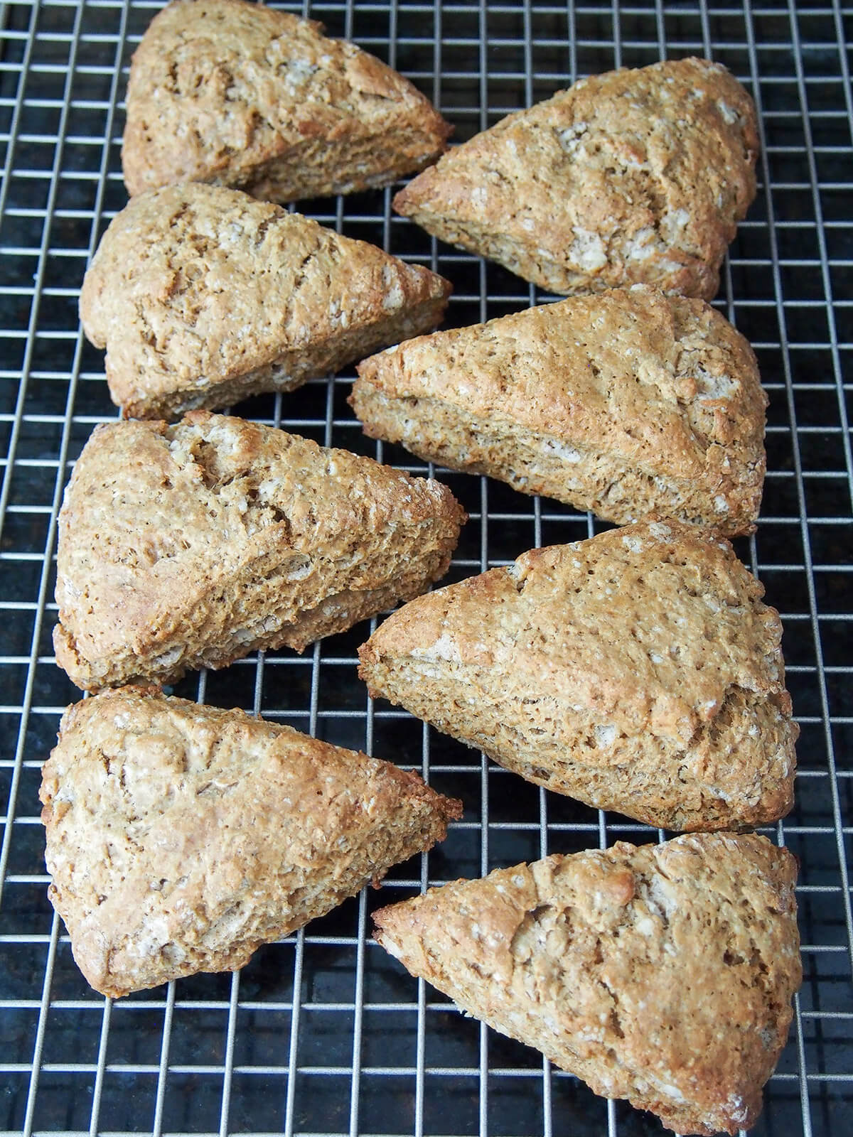 gingerbread scones on cooling rack.