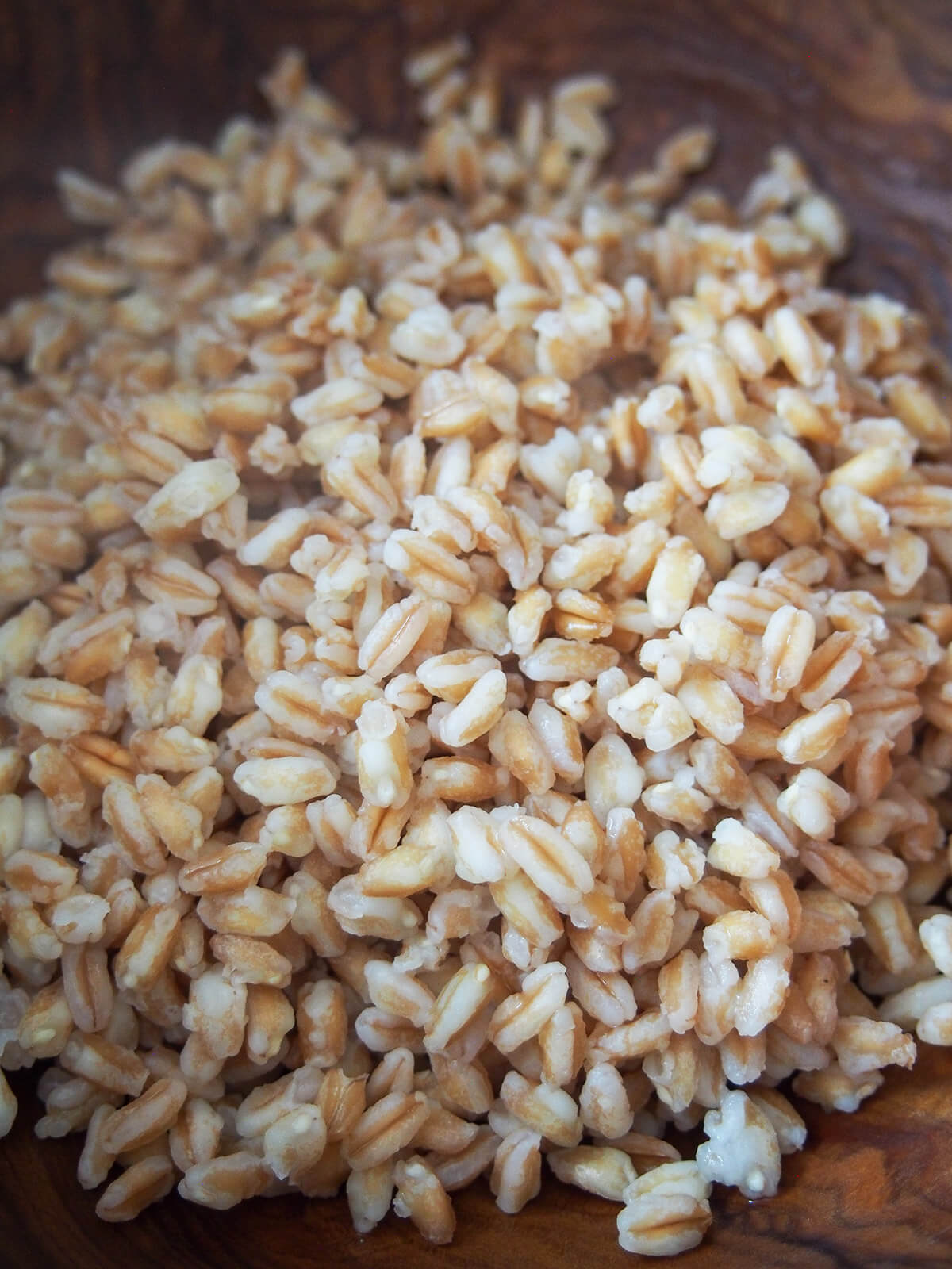 cooked farro in bowl