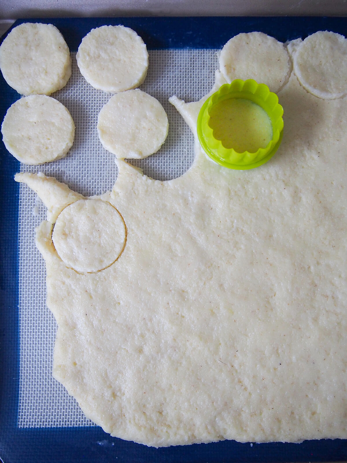 cutting circles from semolina gnocchi mixture with cutter.