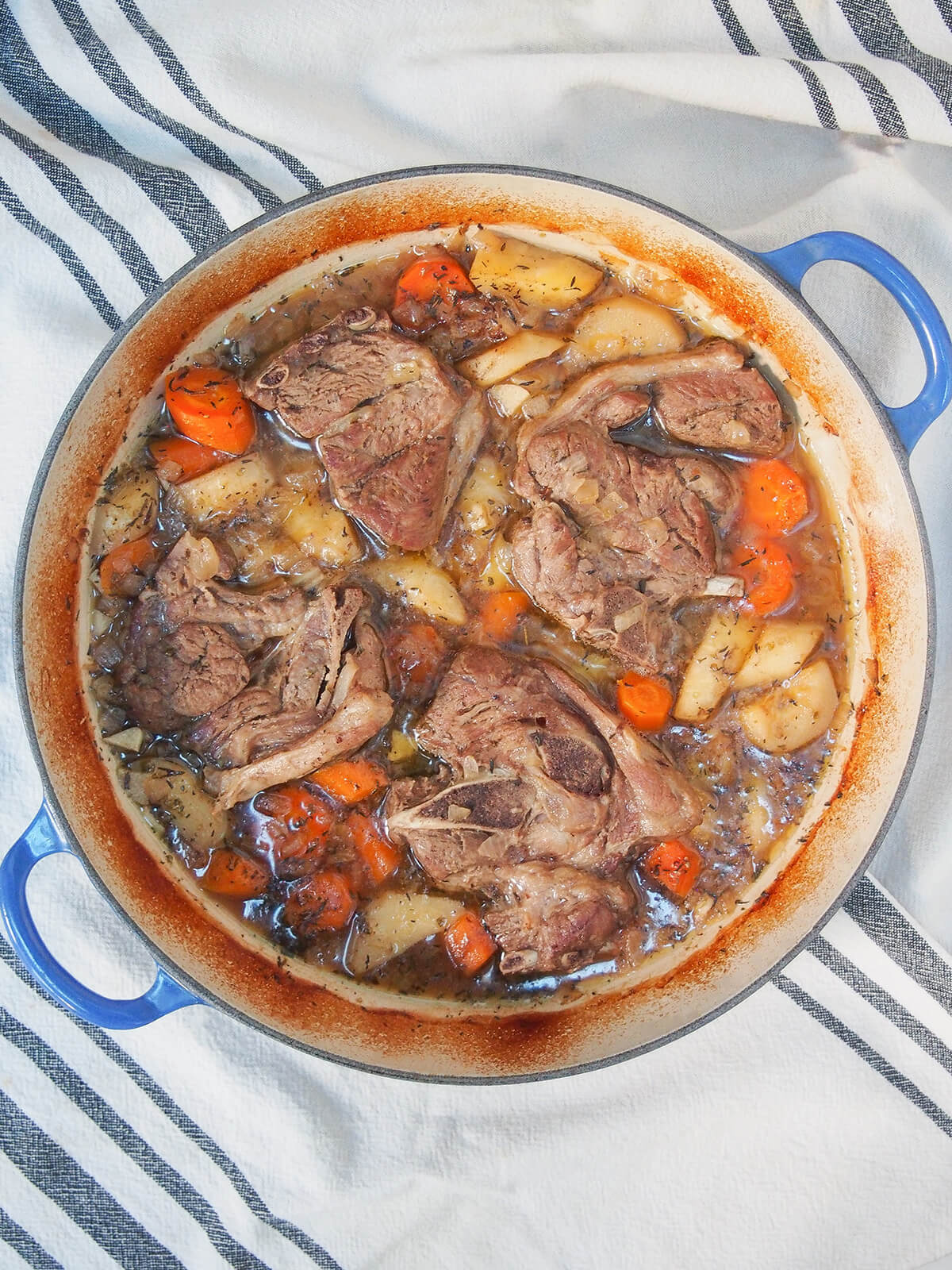 dish with braised lamb shoulder chops and vegetables from overhead.