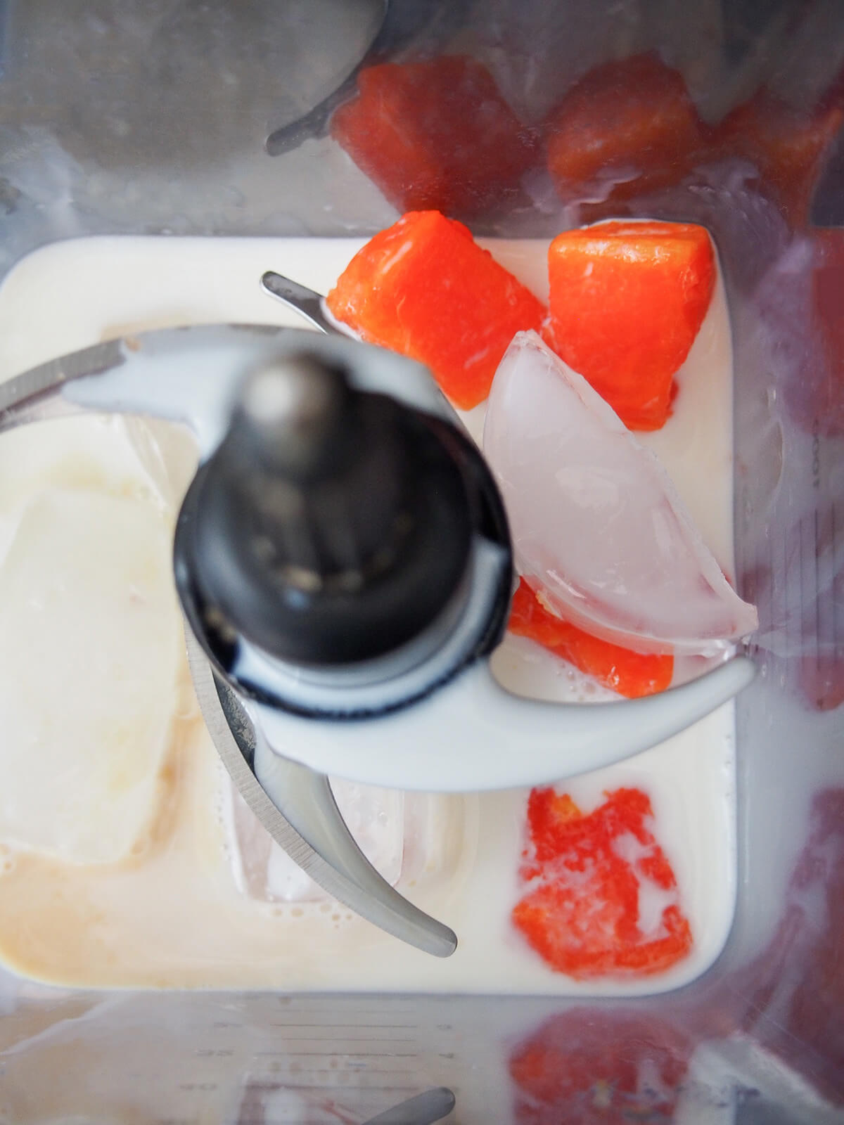 papaya, milk and ice in blender.