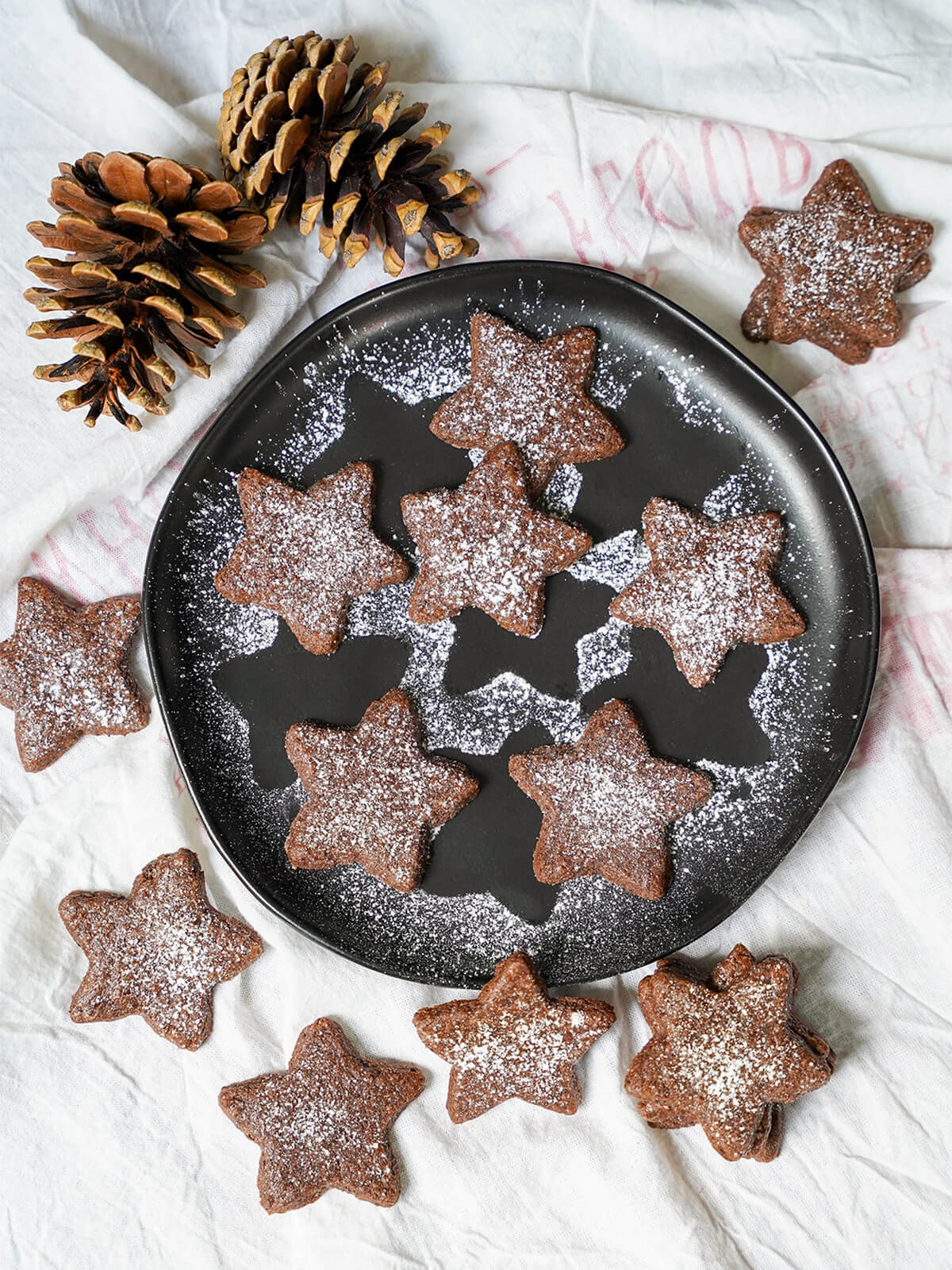 overhead view of a plate of Basler brunsli chocolate almond cookies dusted with sugar.