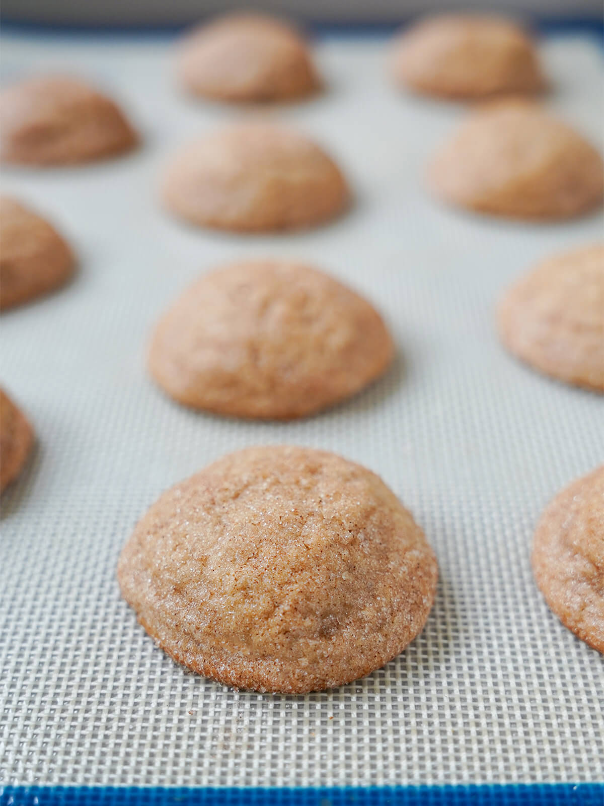 baked cookies on lined baking sheet just out oven.