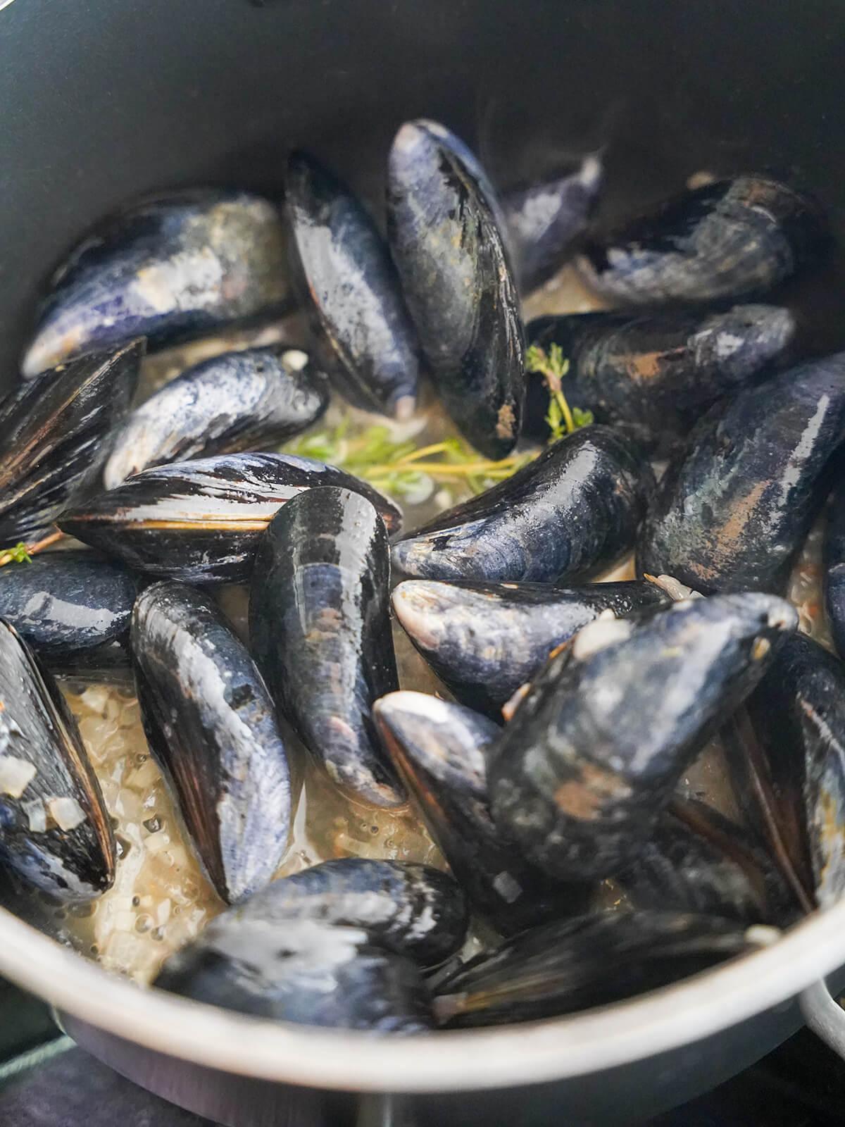 steaming mussels for mussels in cream steaming mussels in pot with wine, shallots and sprigs of thyme.