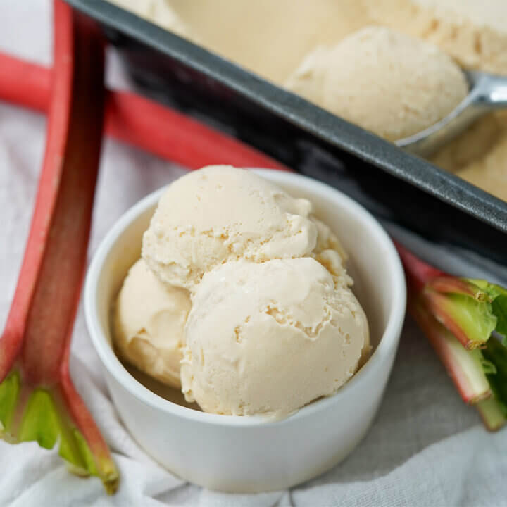 close view of bowl of rhubarb ice cream.