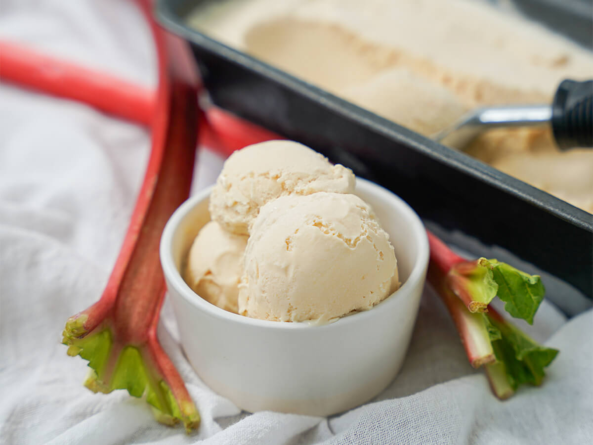 bowl of rhubarb ice cream with stems of rhubarb either side.