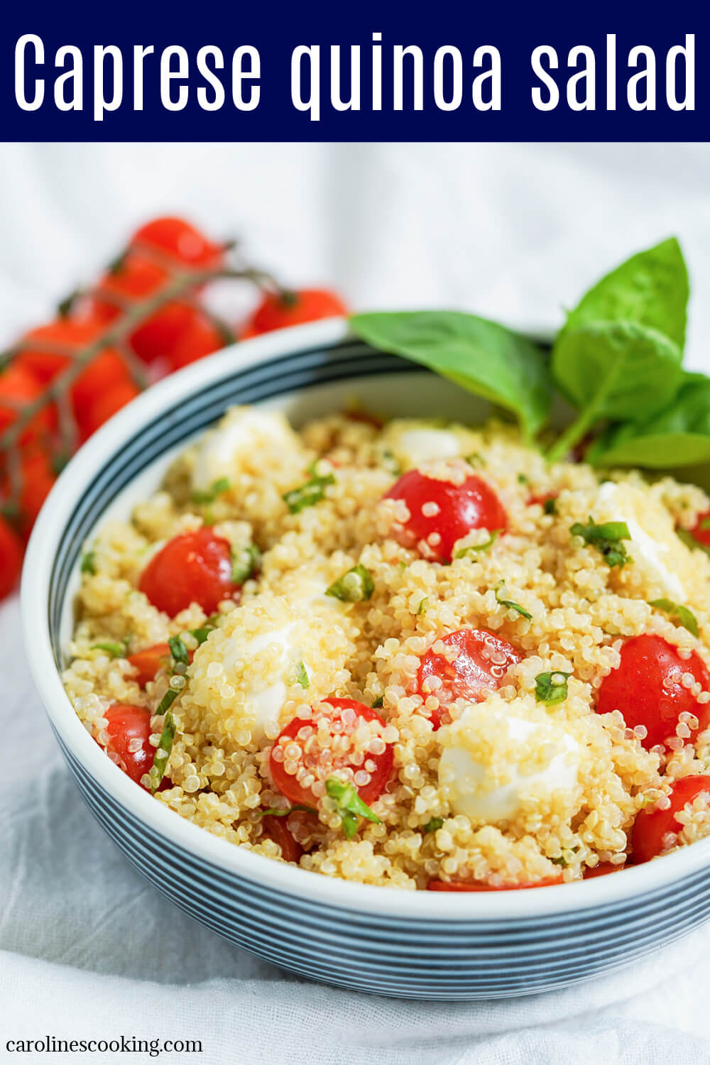 This Caprese quinoa salad is a delicious, light & healthy salad that's perfect for a picnic, potluck or as a side to many a meal. It's easy to make, versatile and easy to add to, as well. This caprese quinoa salad is a delicious, light & healthy salad that's perfect for a picnic, potluck or as a side to many a meal. It's easy to make, versatile and easy to add to, as well.