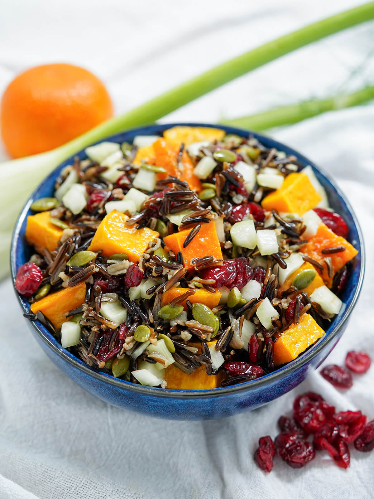 bowl of butternut squash wild rice salad with cranberries in front and stem of fennel and orange behind.