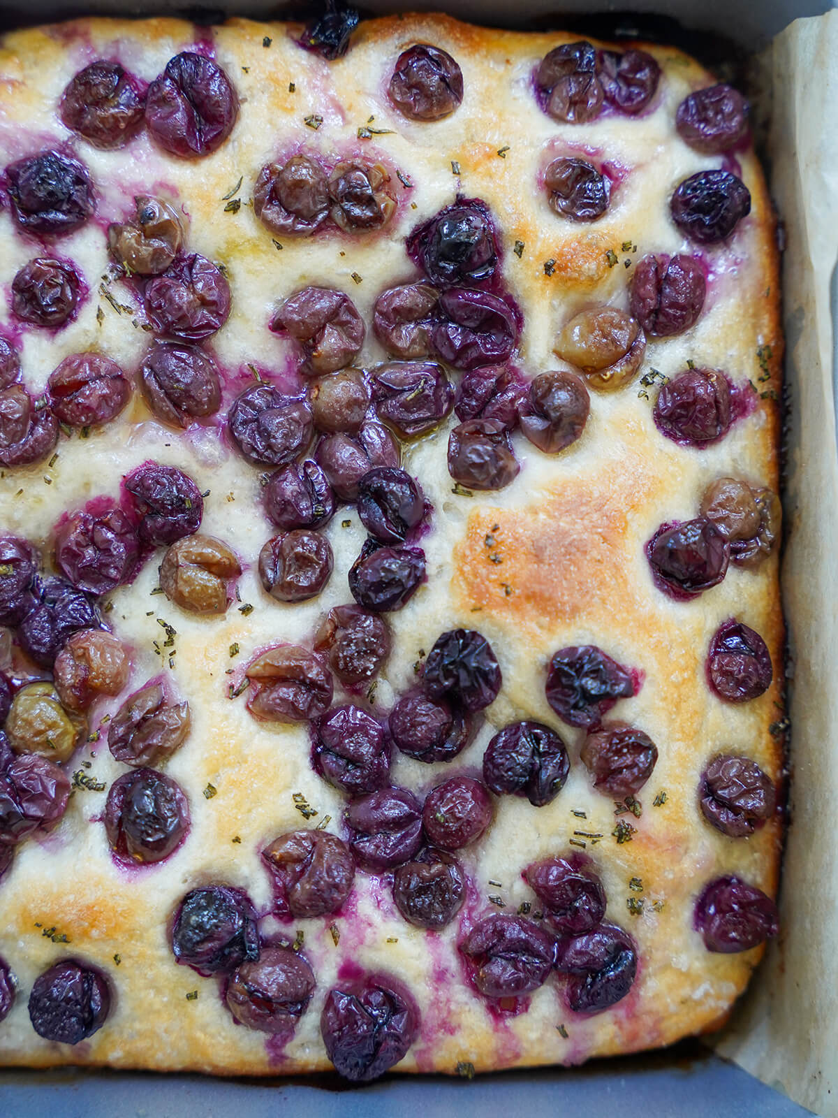 whole schiacciata all’uva grape focaccia in baking pan.