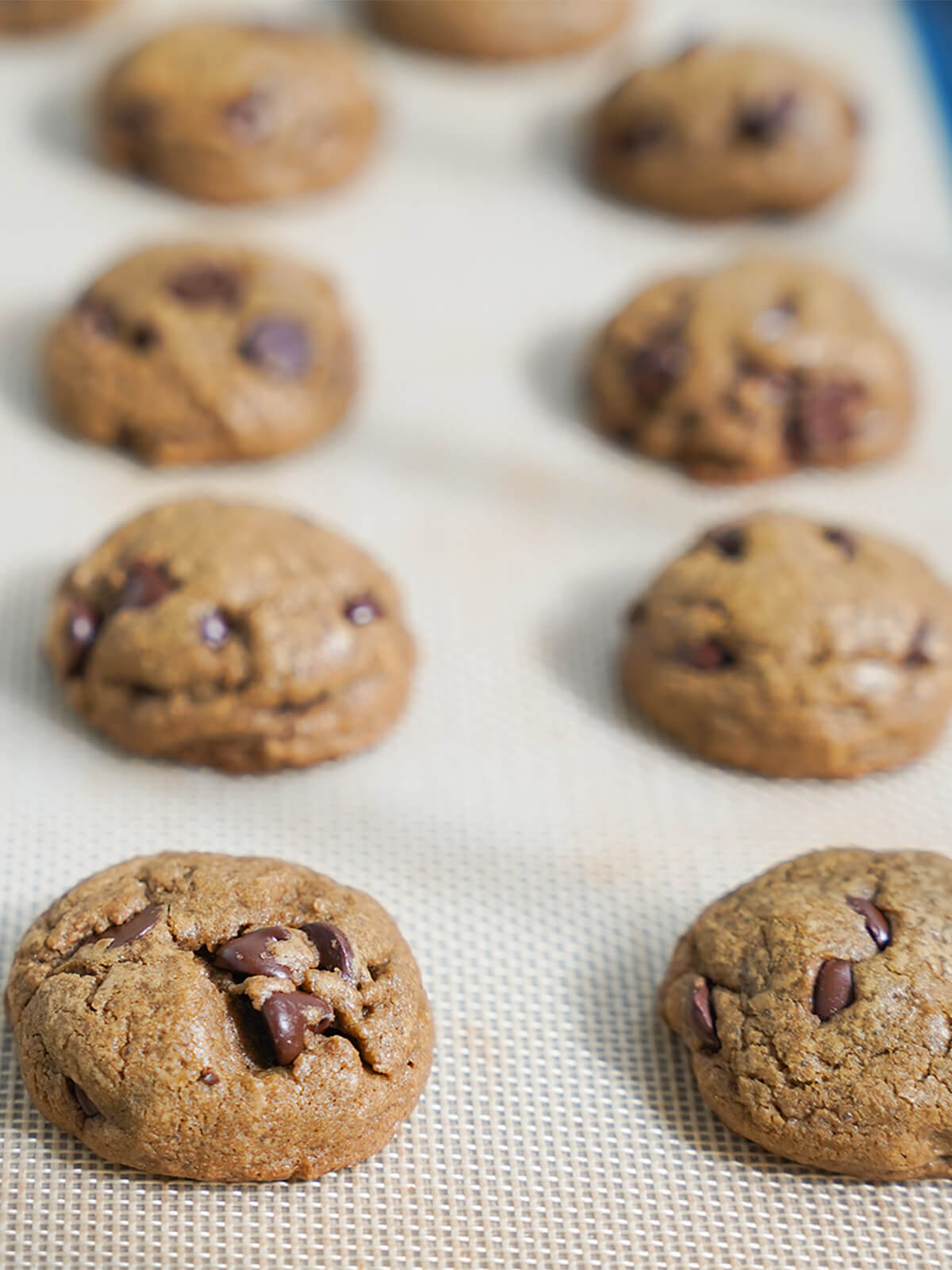 hojicha chocolate chip cookies on baking sheet just out oven.